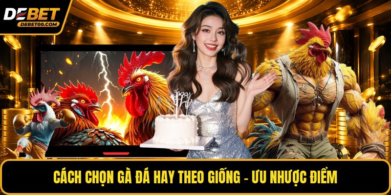 Cách Chọn Gà Đá Hay - Tiêu Chí Nhận Biết Gà Chiến Thắng