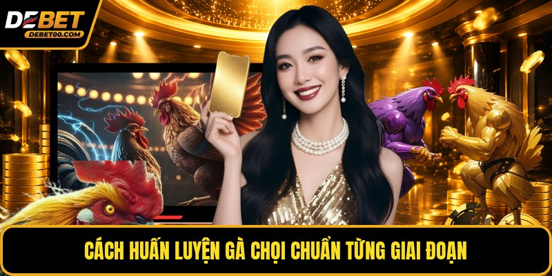 Cách Huấn Luyện Gà Chọi Hiệu Quả – Hướng Dẫn Từng Bước