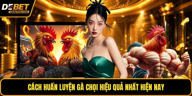 Cách Huấn Luyện Gà Chọi Hiệu Quả – Hướng Dẫn Từng Bước