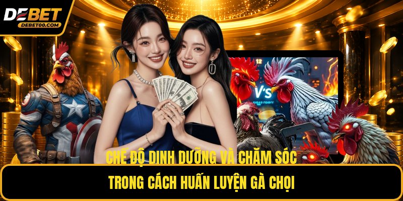 Cách Huấn Luyện Gà Chọi Hiệu Quả – Hướng Dẫn Từng Bước