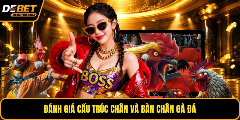 Cách Chọn Gà Đá Hay - Tiêu Chí Nhận Biết Gà Chiến Thắng