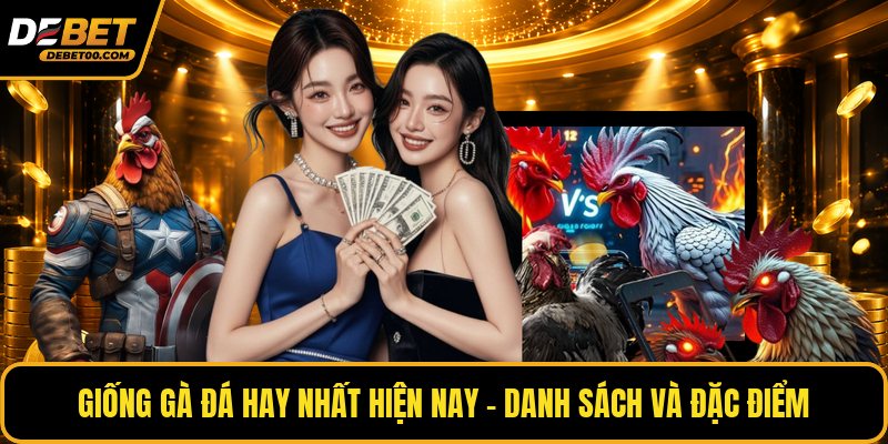 Giống Gà Đá Hay - Danh Sách Gà Chiến Và Đặc Điểm Chuẩn