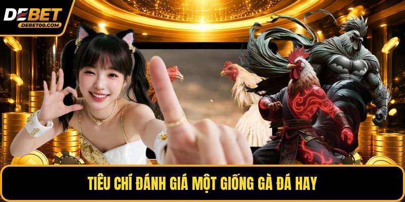 Giống Gà Đá Hay - Danh Sách Gà Chiến Và Đặc Điểm Chuẩn