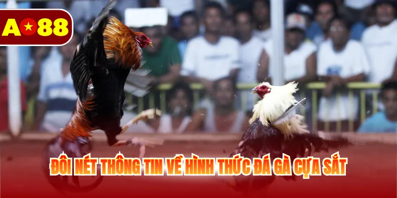 Đá Gà Cựa Sắt - Cá Cược Sôi Động Không Giới Hạn Mỗi Ngày