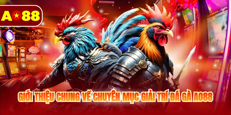 Đá Gà AO88 - Xem Full Trận Đấu Kịch Tính Và Căng Thẳng Đá Gà AO88 - Xem Full Trận Đấu Kịch Tính Và Căng Thẳng