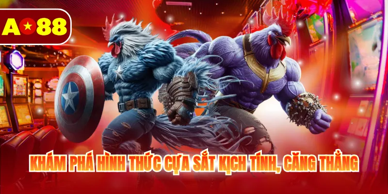 Đá Gà AO88 - Xem Full Trận Đấu Kịch Tính Và Căng Thẳng Đá Gà AO88 - Xem Full Trận Đấu Kịch Tính Và Căng Thẳng