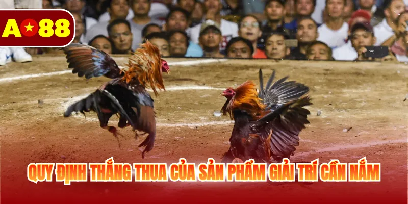 Đá Gà Cựa Sắt - Cá Cược Sôi Động Không Giới Hạn Mỗi Ngày