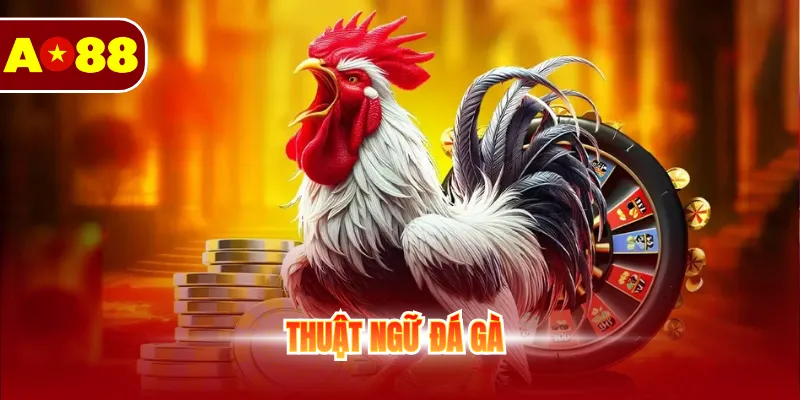 Tìm Hiểu Các Thuật Ngữ Đá Gà Cho Thành Viên Mới