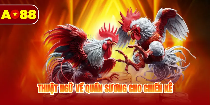 Tìm Hiểu Các Thuật Ngữ Đá Gà Cho Thành Viên Mới