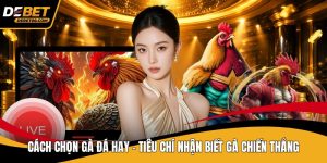 Đá Gà Debet - Sân Chơi Truyền Thông Kết Hợp Với Hiện Đại