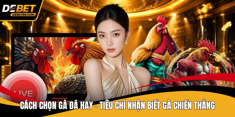 Cách Huấn Luyện Gà Chọi Hiệu Quả – Hướng Dẫn Từng Bước