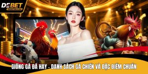 Đá Gà Debet - Sân Chơi Truyền Thông Kết Hợp Với Hiện Đại