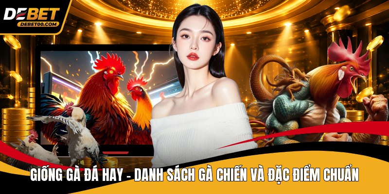 Cách Huấn Luyện Gà Chọi Hiệu Quả – Hướng Dẫn Từng Bước